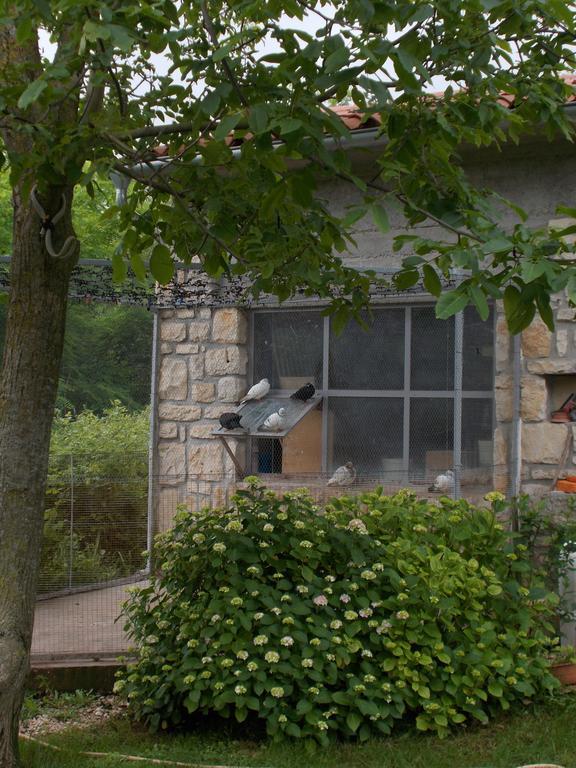 Apartments Sara Labin  Exterior photo